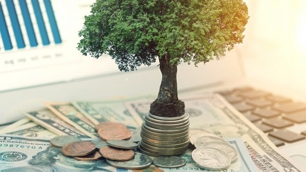 cổ tức bằng tiền