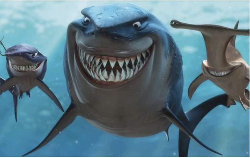 danh mục đầu tư của các quỹ