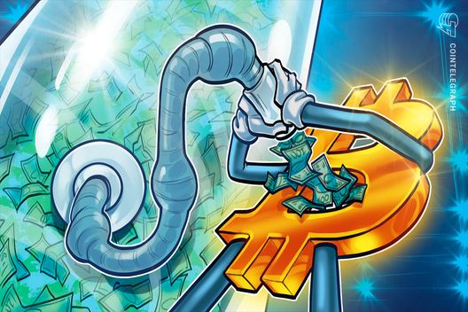 chu kỳ bull market Bitcoin