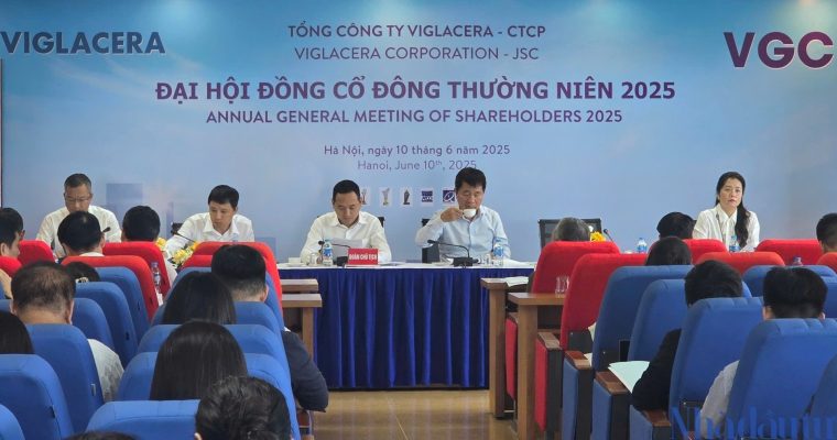 Lợi nhuận Viglacera