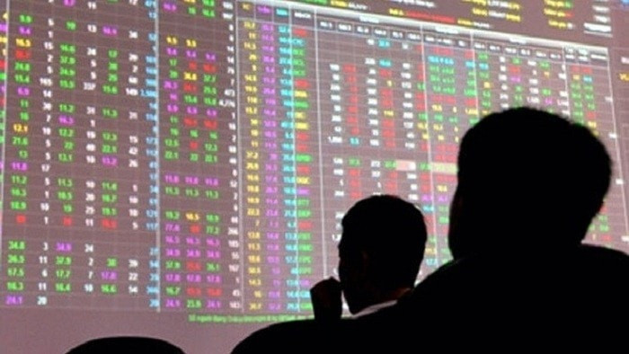 cổ đông lớn VSH