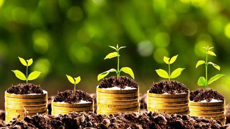 cổ tức tiền mặt