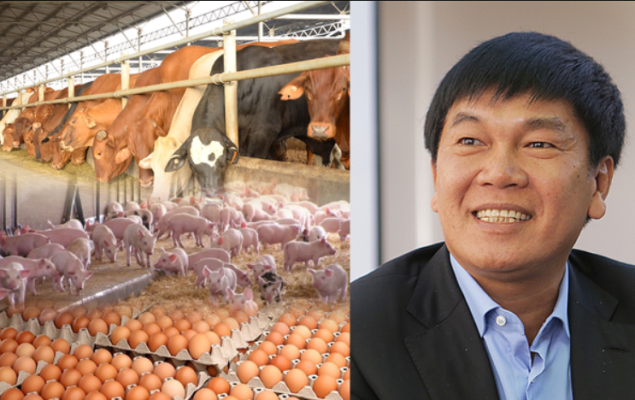 Nông nghiệp Hòa Phát