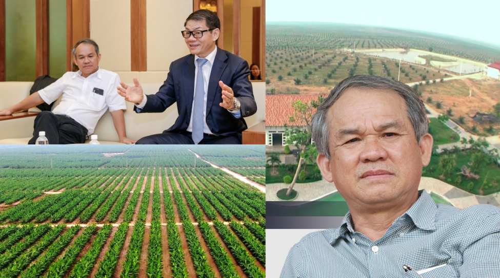 mô hình kinh doanh HAGL