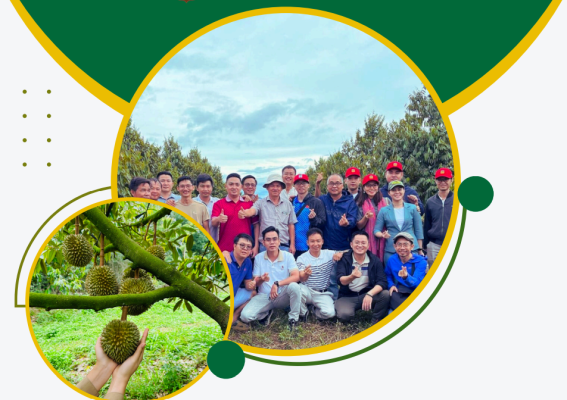 IPO Đầu tư Quốc tế HAGL